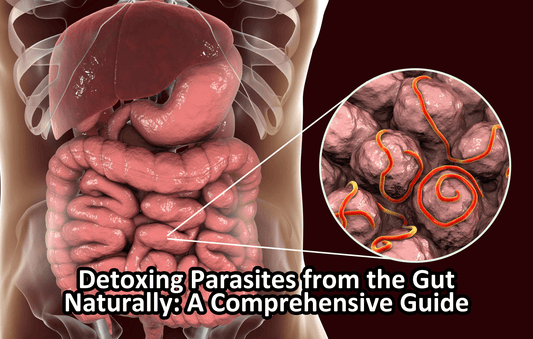 Detoxing Parasites from the Gut Naturally: A Comprehensive Guide - Sheer Alternatives