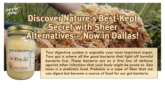 What Is Sea Moss? - Sheer Alternatives