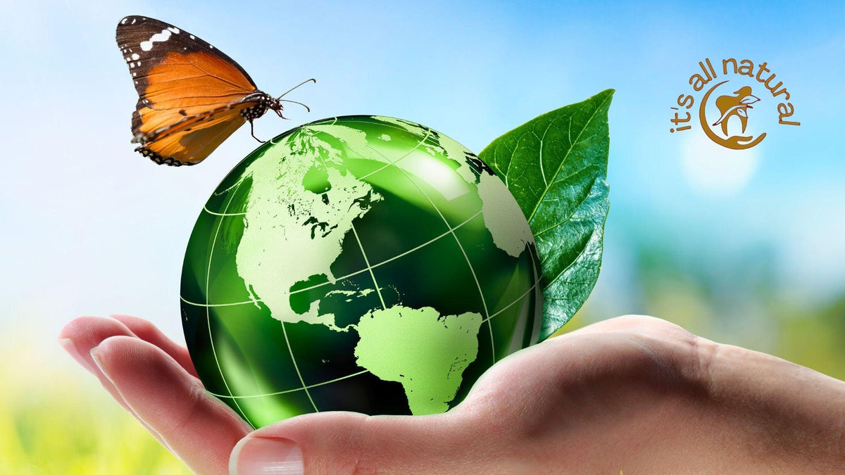 Sheer Alternatives: Pioneering Earth-Friendly Packaging for All-Natural Oral Care