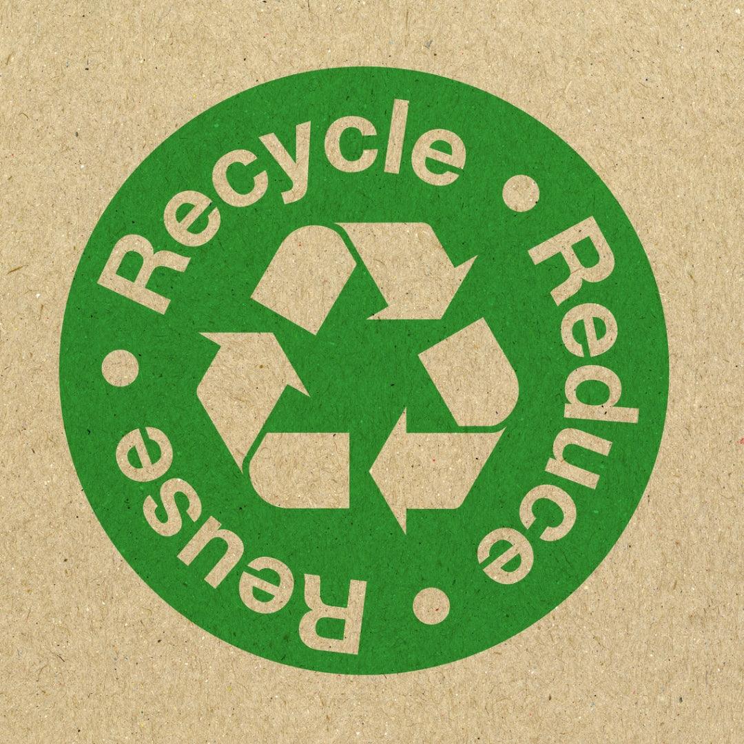 Understanding Plastic Pollution: Lakes, Landfills, and Our Responsibility