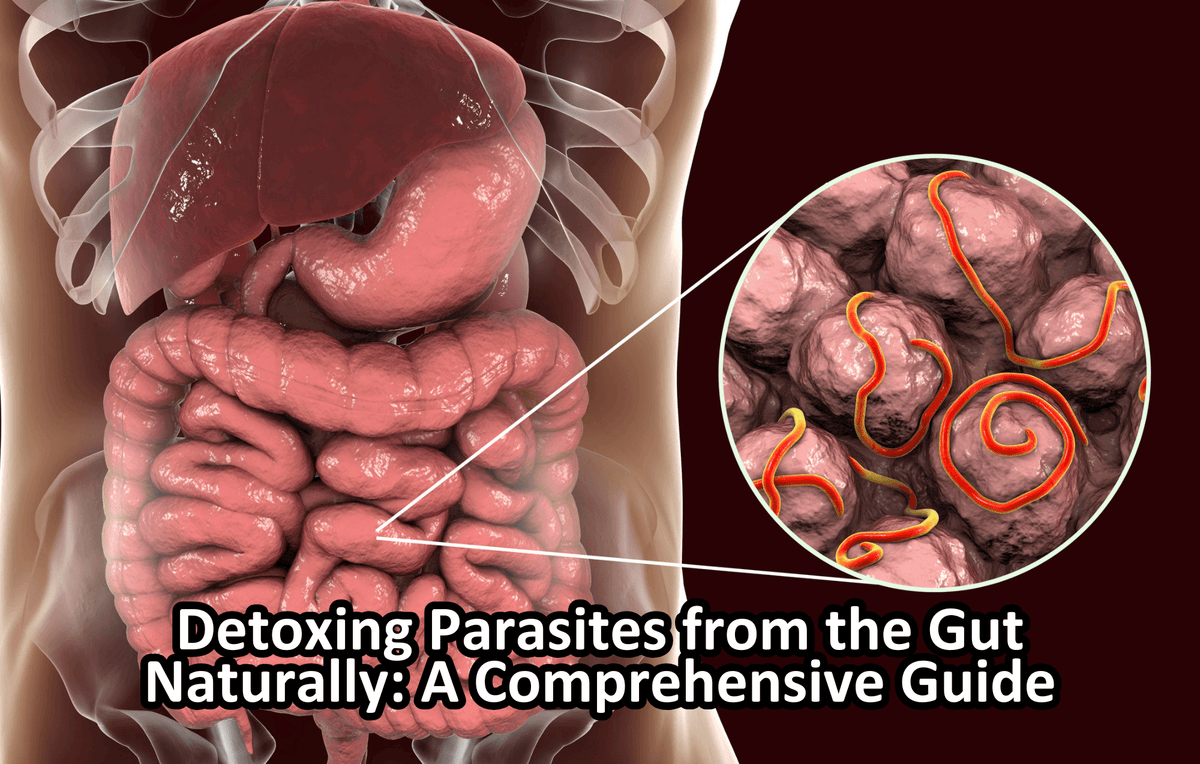 Detoxing Parasites from the Gut Naturally: A Comprehensive Guide