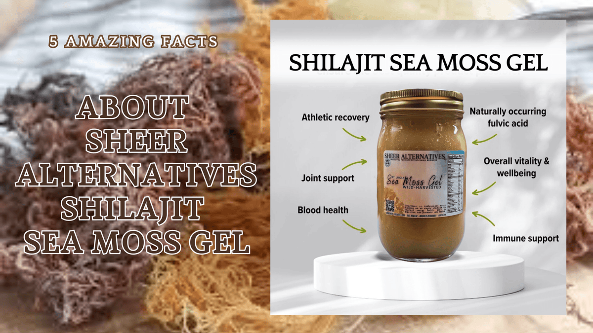 5 Amazing Facts About Sheer Alternatives Shilajit Sea Moss Gel
