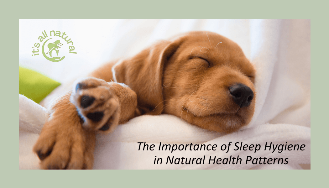 The Importance of Sleep Hygiene in Natural Health Patterns