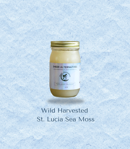 A glass jar of Sheer Alternatives St. Lucia Sea Moss with a gold lid and white label, centered on a light blue textured background with text below reading 'Wild Harvested St.