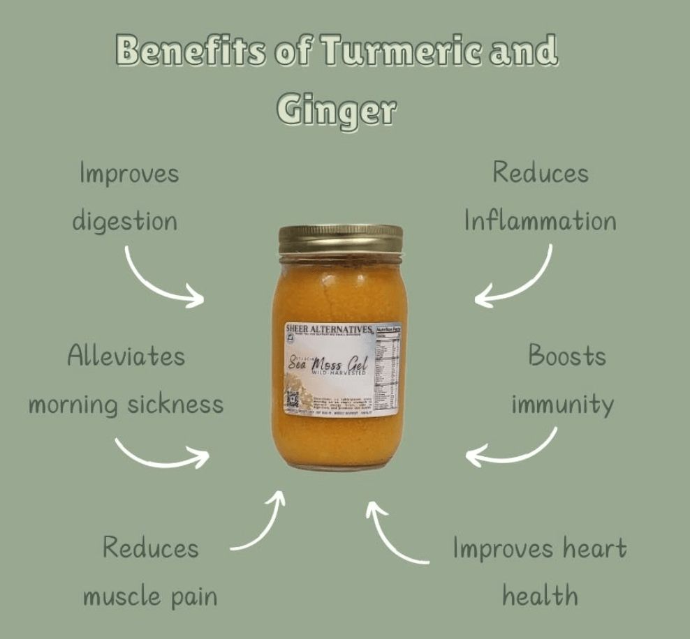 Sheer Alternatives St Lucia Sea Moss Gel | Turmeric | Ginger - Sheer Alternatives