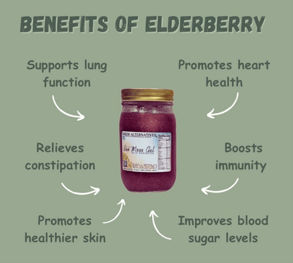 Sheer Alternatives St Lucia Sea Moss Gel | Elderberry and Bladderwrack - Sheer Alternatives