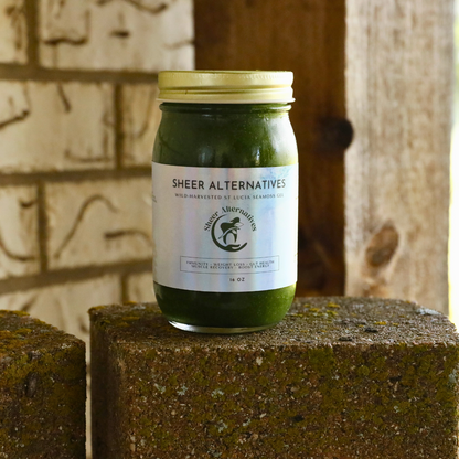 Sea Moss Gel | Moringa Sea Moss Gel | Sheer Alternatives