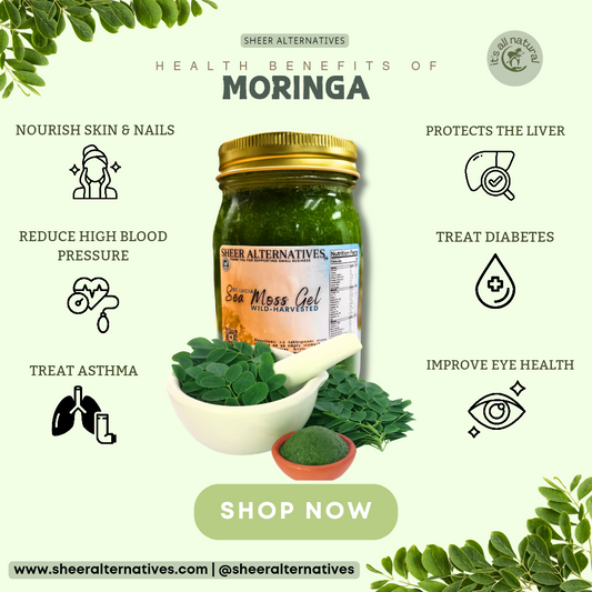 Sheer Alternatives Sea Moss Gel | Moringa Sea Moss