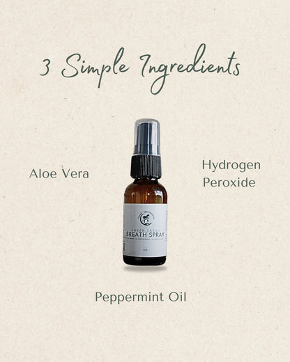Sheer Alternatives Mint Breath Spray | Mint Mouth Spray - Sheer Alternatives