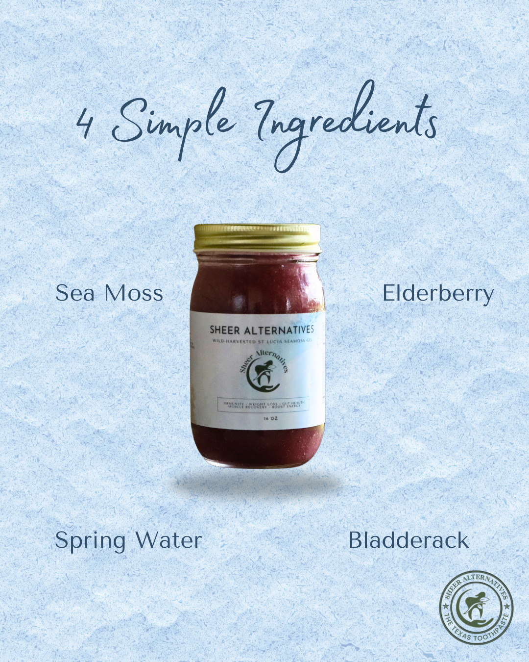 A jar of Sheer Alternatives elderberry drink with a gold lid and white label, centered on a light blue textured background with text reading '4 Simple Ingredients' and ingredient labels: Sea Moss, Elderberry, Spring Water, and Bladderack.