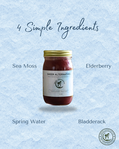 A jar of Sheer Alternatives elderberry drink with a gold lid and white label, centered on a light blue textured background with text reading '4 Simple Ingredients' and ingredient labels: Sea Moss, Elderberry, Spring Water, and Bladderack.