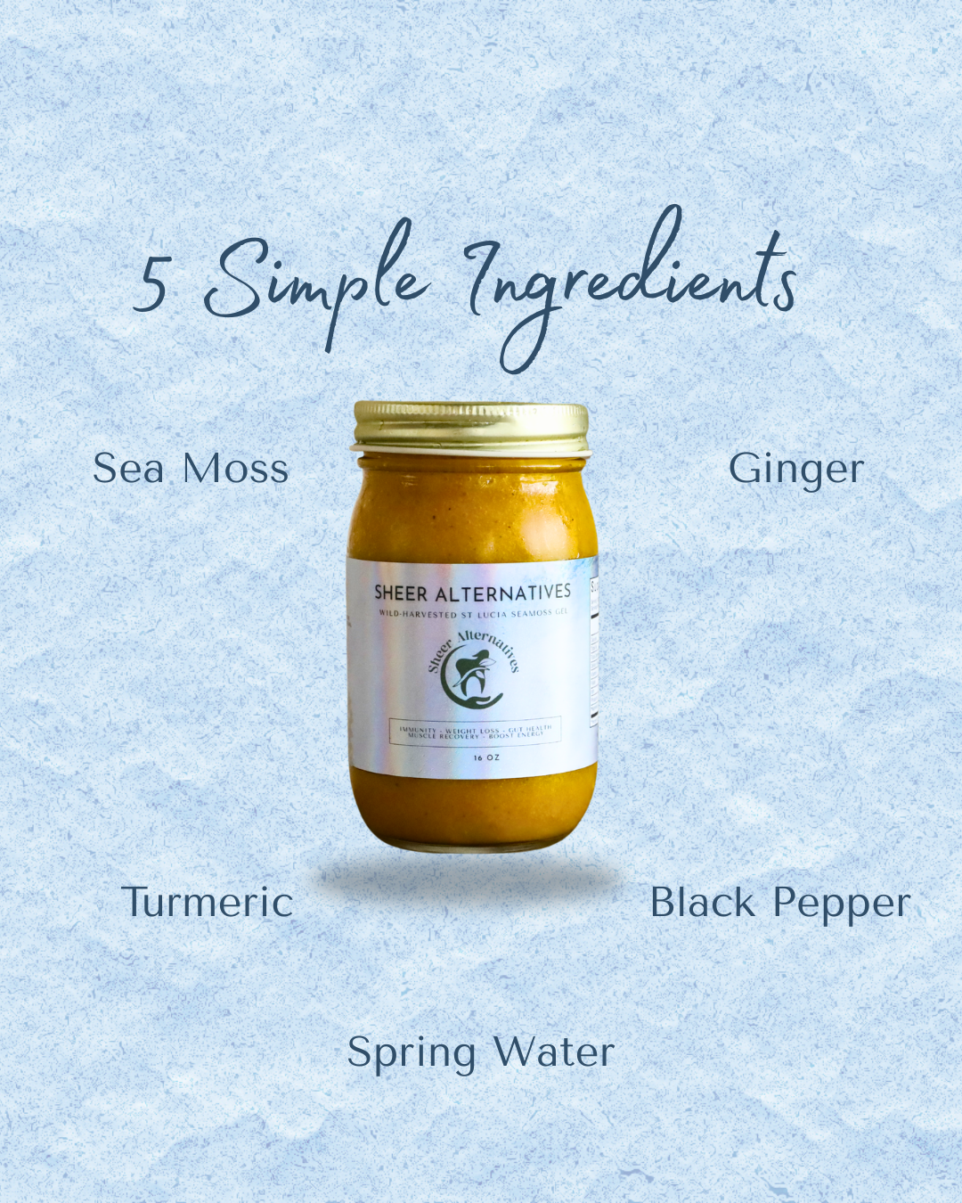 A glass jar of Sheer Alternatives sea moss paste with a gold lid and white label, centered on a light blue textured background with text listing the five simple ingredients: sea moss, ginger, turmeric, black pepper, and spring water.
