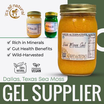 Sheer Alternatives St Lucia Sea Moss Gel | Turmeric | Ginger - Sheer Alternatives