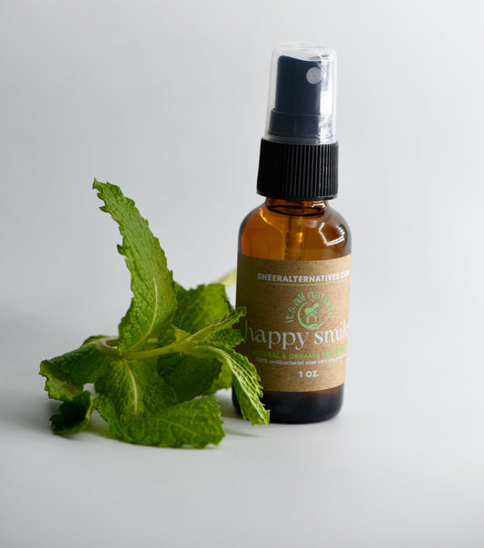 Sheer Alternatives Mint Breath Spray | Mint Mouth Spray - Sheer Alternatives